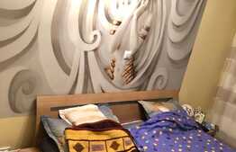 Apartament 2 camere,mobilat,utilat, zona Mega Image, Florilor