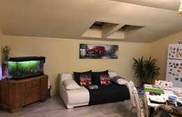 Apartament 2 camere,mobilat,utilat, zona Mega Image, Florilor