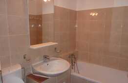 Garsoniera, 23 mp, balcon, mobilat si utilat, zona Profi