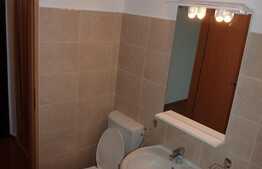 Garsoniera, 23 mp, balcon, mobilat si utilat, zona Profi