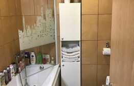 Apartament 1 camera decomandat 33 mp, terasa, zona Calea Turzii