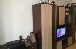 Garsoniera de vanzare, 22,50 mp, zona strazii Corneliu Coposu