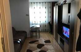 Garsoniera de vanzare, 22,50 mp, zona strazii Corneliu Coposu