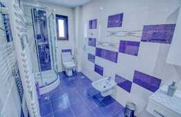 Exclusiv! Casa moderna de vanzare + spatiu afacere, 338 mp utili, 755 mp teren, ultrafinisat la cheie, garaj, drum asfaltat, zona Oasului