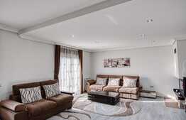 Exclusiv! Casa moderna de vanzare + spatiu afacere, 338 mp utili, 755 mp teren, ultrafinisat la cheie, garaj, drum asfaltat, zona Oasului