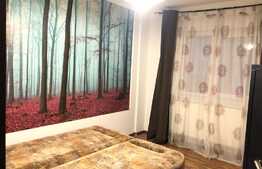 Apartament 3 camere, mobilat, 67 mp, zona Dunarii