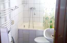 Apartament 3 camere pe 2 niveluri, 65 mp, parcare, A.C., imobil nou, zona strazii Campina