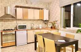 Casa 100 mp cu 3 camere , terasa 50 mp, 2 parcari, zona strazii Albac
