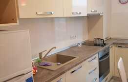 Apartament 2 camere, 52 mp, 2 parcari, zona strazii Borhanciului