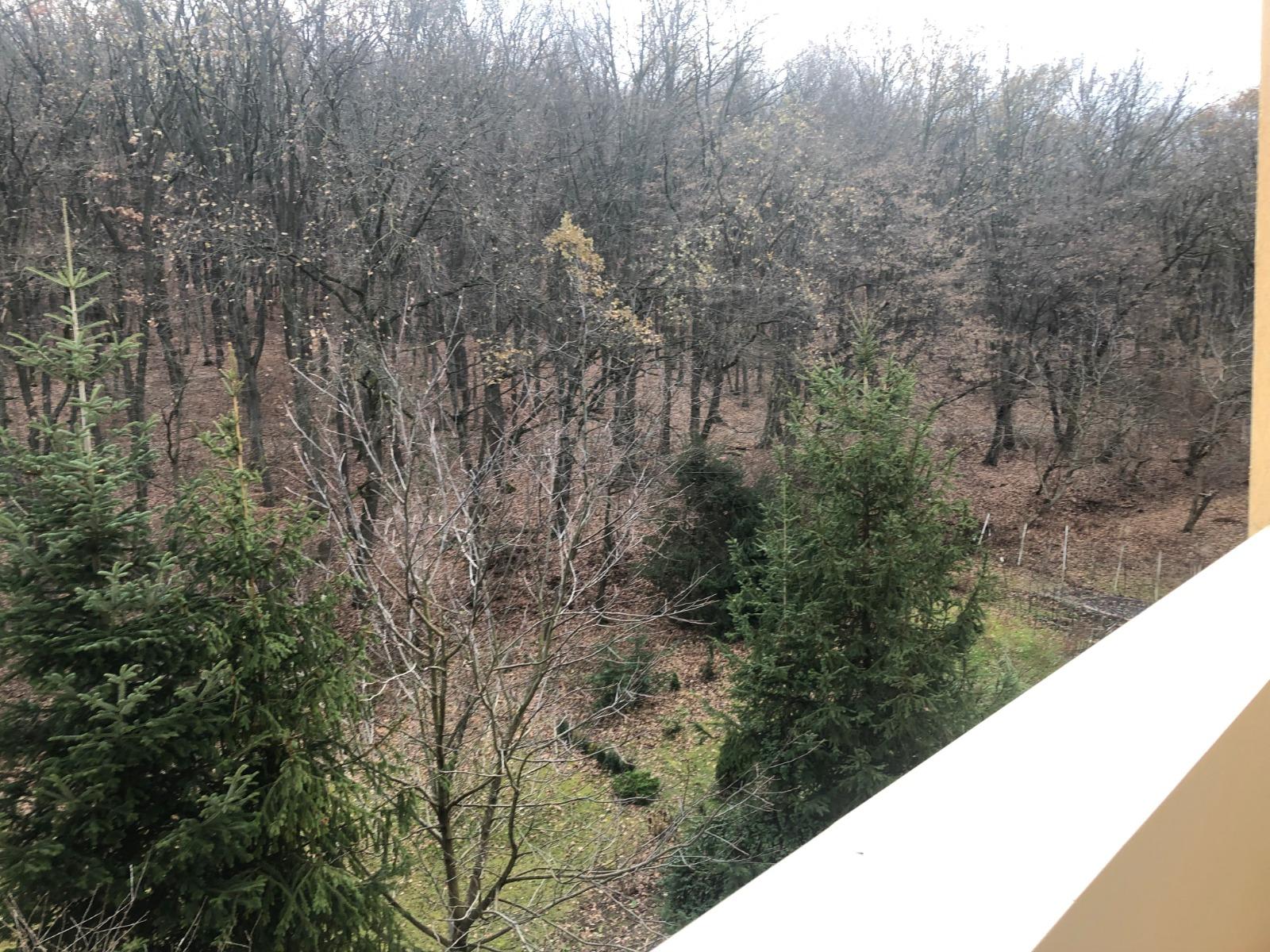 Apartament de vânzare 4 camere Manastur - 35760AV | BLITZ Cluj-Napoca | Poza9