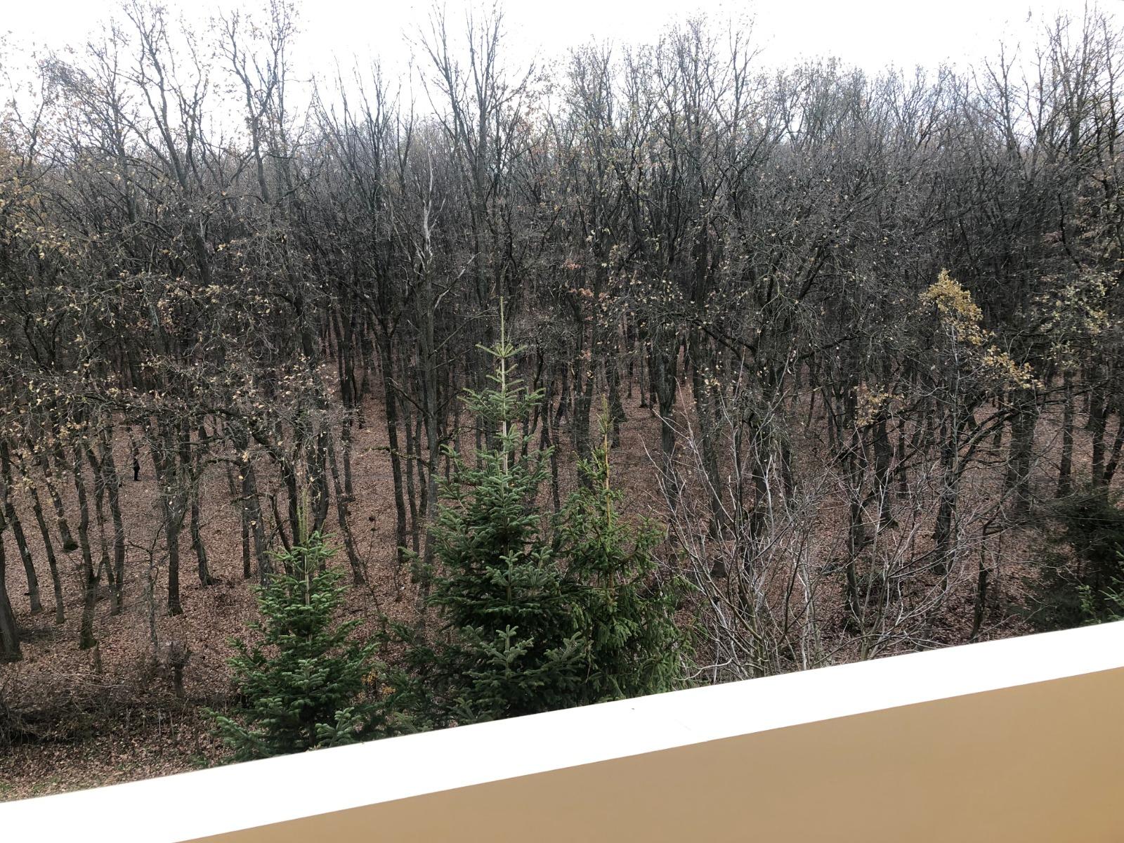 Apartament de vânzare 4 camere Manastur - 35760AV | BLITZ Cluj-Napoca | Poza11