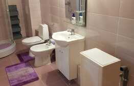 Apartament 2 camere, 72 mp, parcare, gradina, zona strazii Campului!