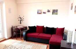 Apartament 2 camere, 56 mp, zona Piata Mihai Viteazu