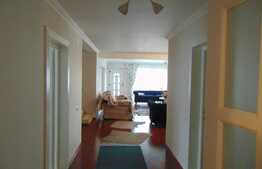 Oportunitate! Casa individuala, 292 mp, teren 1200 mp, zona Caianu Vama