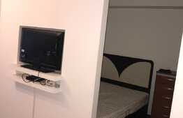 Apartament 1 camera, 40 mp, garaj, Complex Studium Green, Pet friendly