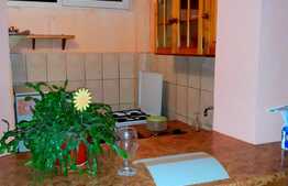 Garsoniera, 28 mp, Pet Friendly, zona strazii Grigore Alexandrescu