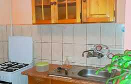 Garsoniera, 28 mp, Pet Friendly, zona strazii Grigore Alexandrescu