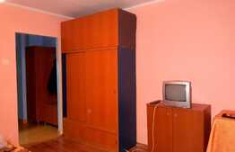 Garsoniera, 28 mp, Pet Friendly, zona strazii Grigore Alexandrescu