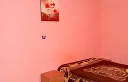 Garsoniera, 28 mp, Pet Friendly, zona strazii Grigore Alexandrescu