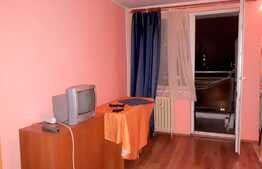 Garsoniera, 28 mp, Pet Friendly, zona strazii Grigore Alexandrescu