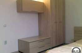 Apartament cu 2 camere, mobilat si finisat