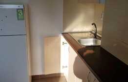 Apartament 1 camera, 40 mp, balcon, Complex Studium Green