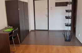 Apartament 1 camera, 40 mp, balcon, Complex Studium Green