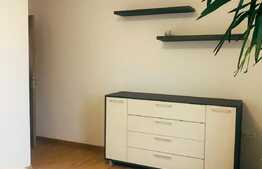 3 camere, 60 mp, mobiliat modern, imobil nou, zona Calea Borhanciului