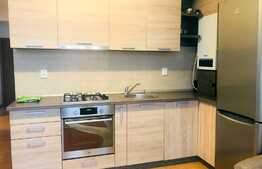 3 camere, 60 mp, mobiliat modern, imobil nou, zona Calea Borhanciului