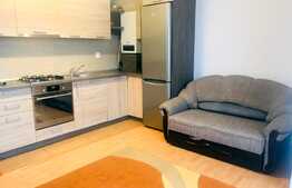 3 camere, 60 mp, mobiliat modern, imobil nou, zona Calea Borhanciului