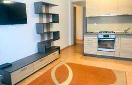 3 camere, 60 mp, mobiliat modern, imobil nou, zona Calea Borhanciului