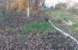 Casa de vanzare 200 mp, 587 mp, front 11 ml, zona Hasdeu