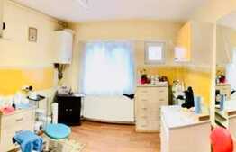 De vanzare apartament 1 camera, 32.87 mp, zona strazii Fanatanele