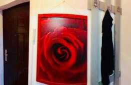 De vanzare apartament 1 camera, 32.87 mp, zona strazii Fanatanele