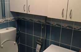 Garsoniera 30 mp, etaj intermediar, zona strazii Oasului