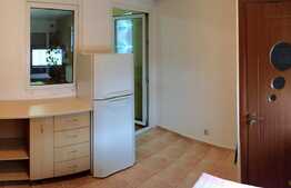 Garsoniera 30 mp, etaj intermediar, zona strazii Oasului