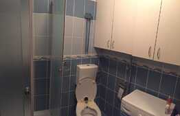 Garsoniera 30 mp, etaj intermediar, zona strazii Oasului