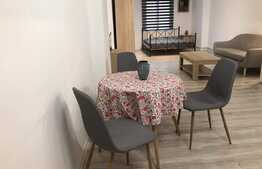 Apartament 1 camera, 48 mp, zona Ultracentrala