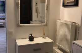 Apartament 1 camera, 48 mp, zona Ultracentrala