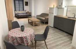 Apartament 1 camera, 48 mp, zona Ultracentrala