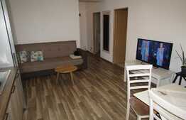 Apartament 2 camere, 48 mp, mobilat modern, parcare subterana, zona strazii Traian