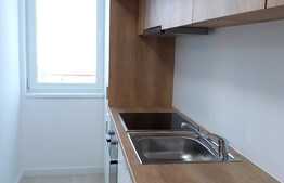 Apartament 1 camera, 45 mp, garaj, prima inchiriere, mobilat modern, zona strazii Fagului