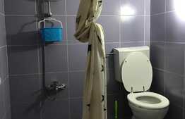 Apartament 1 camera, 34 mp, zona strazii Paris