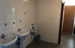 Hala 1000 mp cu teren generos in Baciu Triaj. 