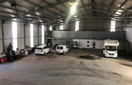 Hala 1000 mp cu teren generos in Baciu Triaj. 