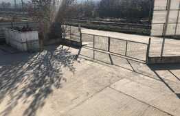 Hala 1000 mp cu teren generos in Baciu Triaj. 