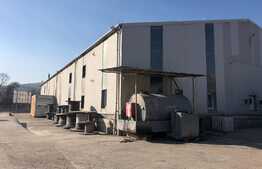 Hala 1000 mp cu teren generos in Baciu Triaj. 