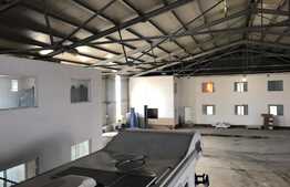 Hala 1000 mp cu teren generos in Baciu Triaj. 