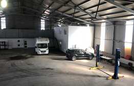 Hala 1000 mp cu teren generos in Baciu Triaj. 