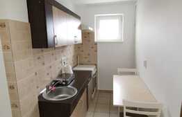 Apartament 2 camere, 40 mp, totul nou, zona Complex Diana
